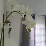 Apartmán Rio Turia