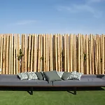إس إتش فالينسيا بالاس 5*