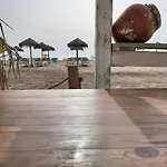 Fivestepstosea - *