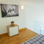 Apartamento Loft Duplex Con Parking Gratis Apartment