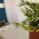 Acogedor 瓦伦西亚