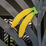 Exquisite With An Original Design Apartment