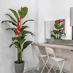 Apartment Exquisite With An Original Design Valencia