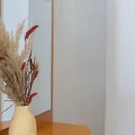 Piso Familiar Cerca Del Centro, Ac Y Wifi Gratis *