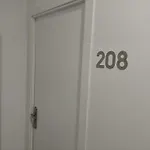 Rous - Solo Adultos * Valencia