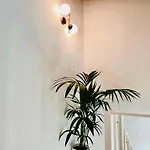 Luxury Penthouse Center Apartment