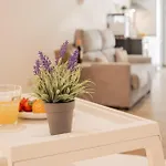 アパート Visitval Flats 1 *