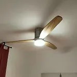 Erudito