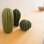 Casa Valenciana Con Terraza 公寓