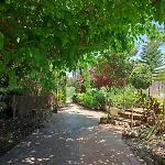 Vakantiehuis Les Moreres A Space For Tranquility Valencia