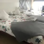 Optimus Comfort Guest house *