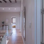 Villa Md Barraques De Lluna *