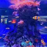 Homestay Geniale Cerca De Russafa Valencia