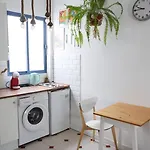 Work Study * 발렌시아