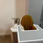 Viva - Arte & Reflejos Apartment