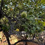 Mediterranean House In Holiday home Valencia