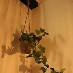 アパート Cozy バレンシア