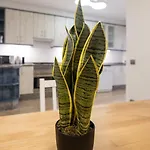 Apartment Colon By Concept Flats