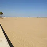 Malvarrosa