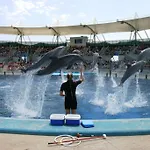 瓦伦西亚媒介酒店