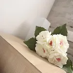 By Eric Olsan * Valencia