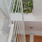 Mi Casa Your