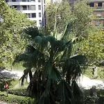 Center
