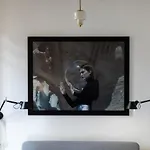 Bubuflats Ayuntamiento