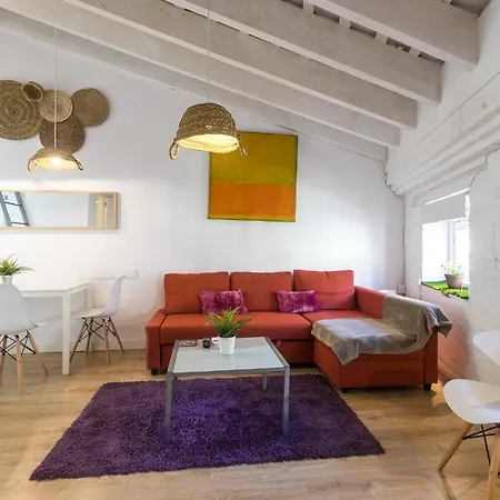 Appartement Baron Reina *