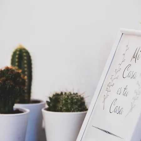 Renovado Y Sofisticado En El Centro De Daire Valensiya