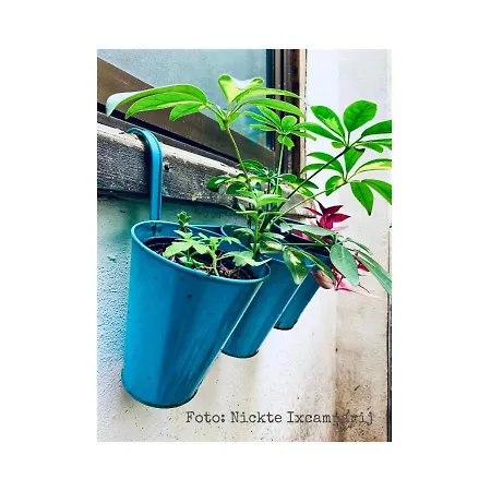 Frühstückspension Propia 2*