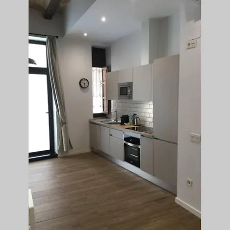 Fantastico Loft En Centro Ciudad Planta Baja Apartament Walencja