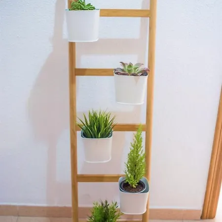 شقة Tranquilo Y Acogedor En El Centro De La Ciudad فالنسيا