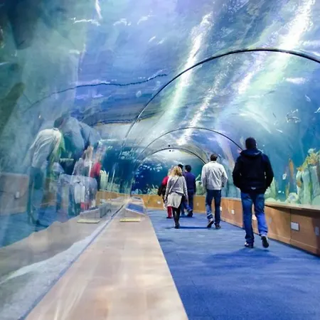 Appartement Loft Torres Quart-valencia Center *