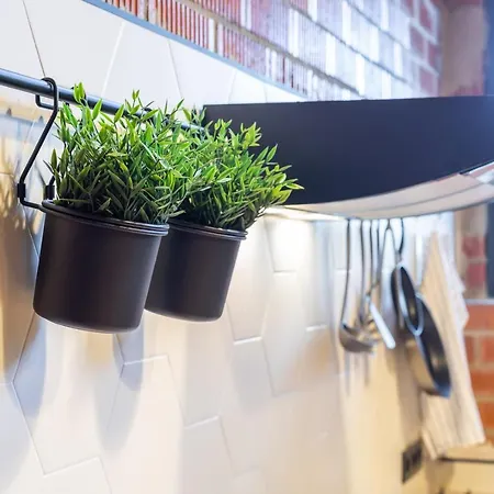 Apartment Art Lofts By Benisur