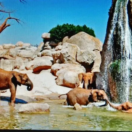 Appartement Duplex Near Center Lovely Valencia