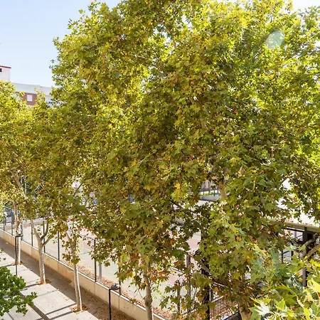 Md Horticultor Galán *