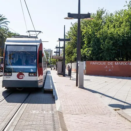 Md Horticultor Galán