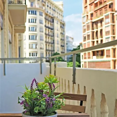 Hotel Plaza View *