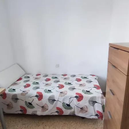 Con Cama Individual, Piso Compartido En Avenida Blasco Ibanez Pansiyon *