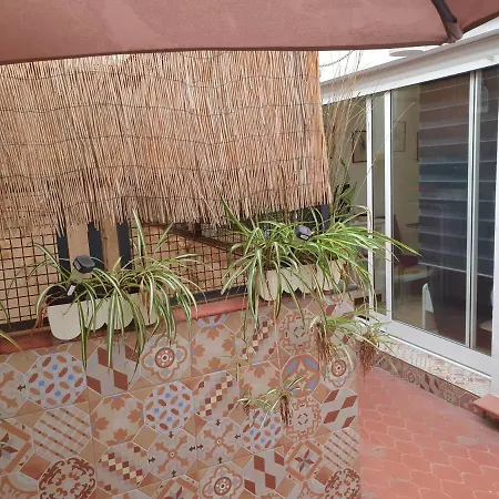 Naranja Y Limon Valencia