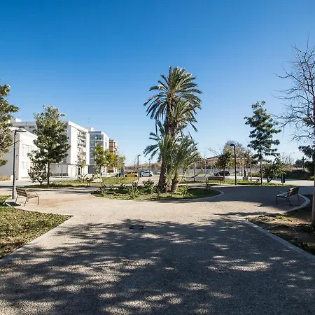 Grabador Ciudad De Artes Y Ciencias Mid-term