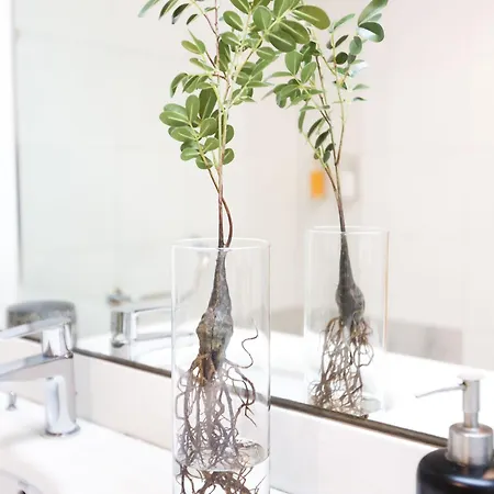 & Co. J. Botanico Boutique ホテル