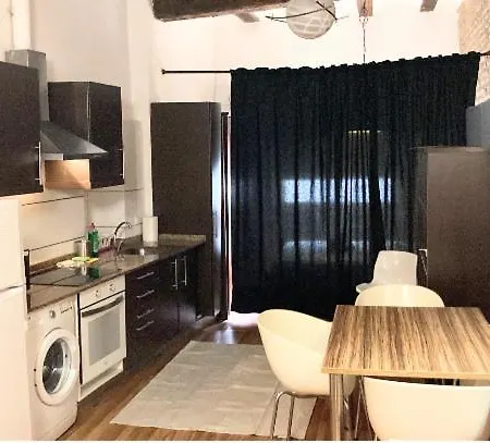 4 Loft Temporal En Ciutat Vella