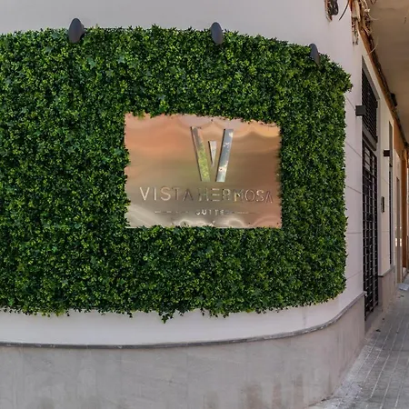 Travel Habitat Benimaclet Vista Hermosa * Valencie