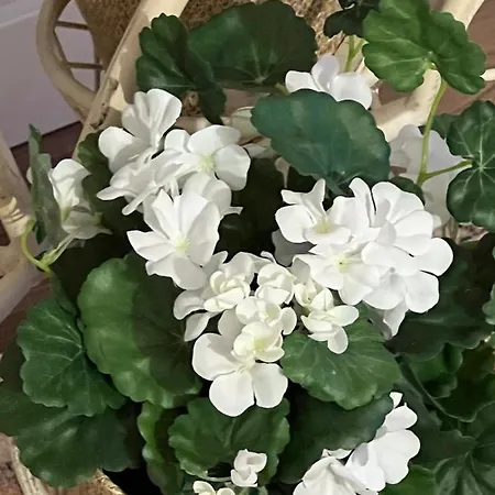 Wonderful In The Heart Of アパート *