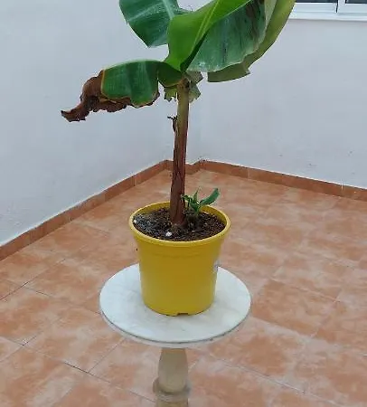 Апарт-отель Lyesblb