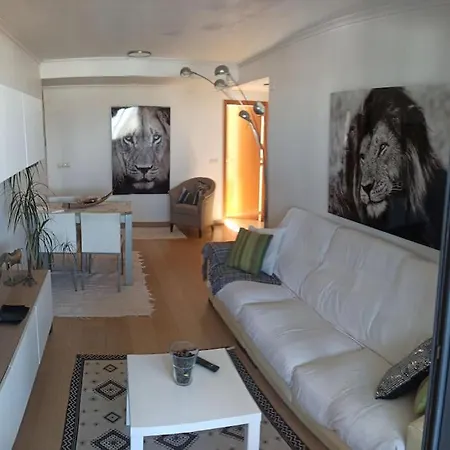 Lejlighed Atico Con 2 Grandes Terrazas Y 2