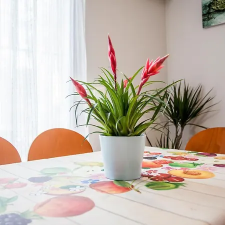 Piso En La Playa, Wifi Gratis Y Ac * ולנסיה