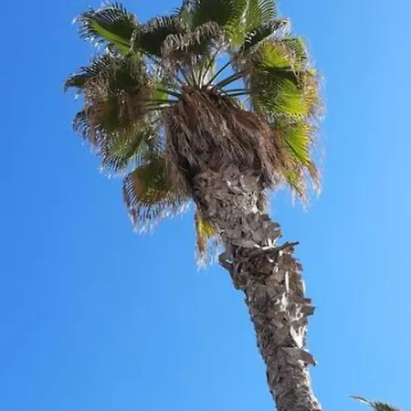 Fivestepstosea - * Valencia